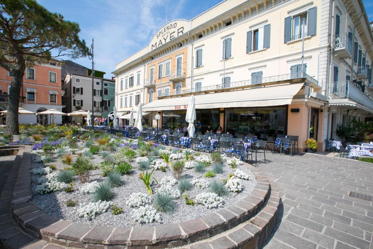 Apartment Mimosa 4 *